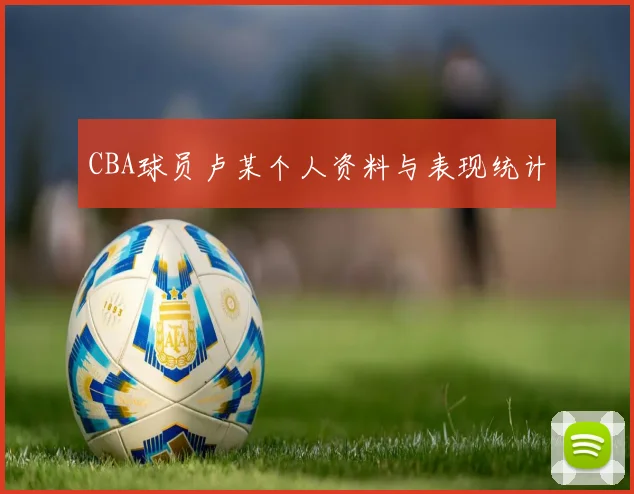 CBA球员卢某个人资料与表现统计